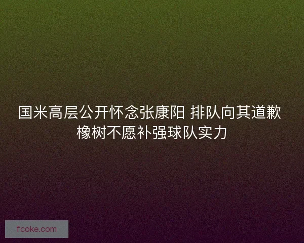 国米高层公开怀念张康阳 排队向其道歉 橡树不愿补强球队实力
